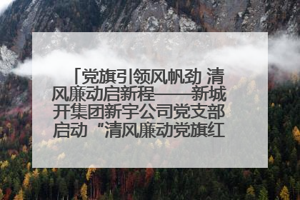 党旗引领风帆劲 清风廉动启新程——新城开集团新宇公司党支部启动“清风廉动党旗红”系列活动
