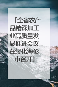 全省农产品精深加工业高质量发展推进会议在绥化海伦市召开