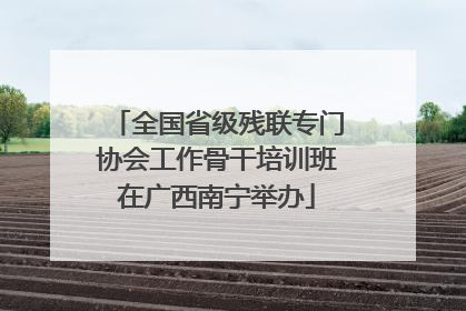 全国省级残联专门协会工作骨干培训班在广西南宁举办