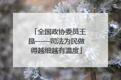 全国政协委员王昆——司法为民做得越细越有温度