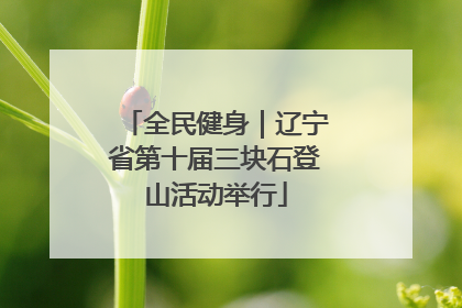 全民健身｜辽宁省第十届三块石登山活动举行