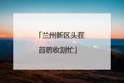 兰州新区头茬苜蓿收割忙