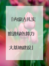 内蒙古扎实推进绿色算力大基地建设