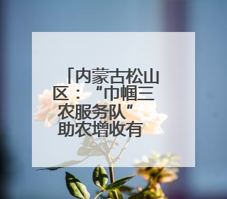 内蒙古松山区：“巾帼三农服务队” 助农增收有 “她” 功