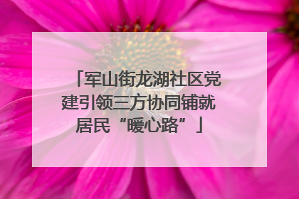 军山街龙湖社区党建引领三方协同铺就居民“暖心路”