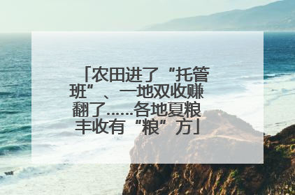 农田进了“托管班”、一地双收赚翻了……各地夏粮丰收有“粮”方