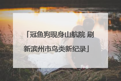 冠鱼狗现身山航院 刷新滨州市鸟类新纪录