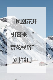 凤凰花开引客来 “赏花经济”别样红