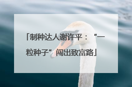 制种达人谢许平：“一粒种子”闯出致富路