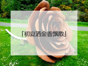 初夏洒金香飘散