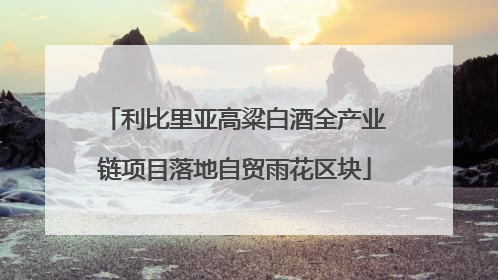 利比里亚高粱白酒全产业链项目落地自贸雨花区块