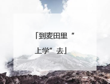 到麦田里“上学”去