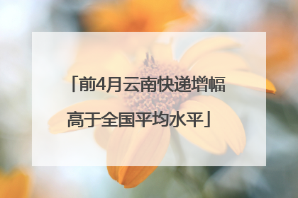 前4月云南快递增幅高于全国平均水平