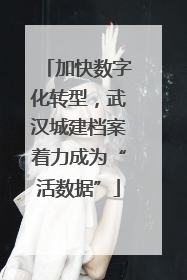 加快数字化转型，武汉城建档案着力成为“活数据”