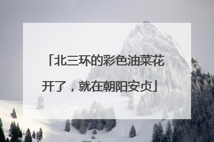 北三环的彩色油菜花开了，就在朝阳安贞