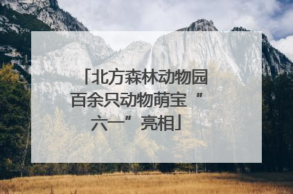 北方森林动物园百余只动物萌宝“六一”亮相
