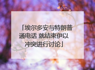 埃尔多安与特朗普通电话 就结束伊以冲突进行讨论