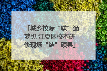 城乡校际“联”通梦想 江夏区校本研修现场“结”硕果