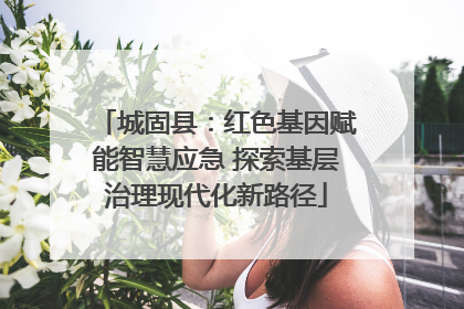 城固县：红色基因赋能智慧应急 探索基层治理现代化新路径