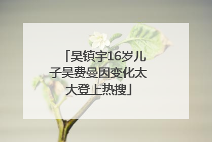 吴镇宇16岁儿子吴费曼因变化太大登上热搜