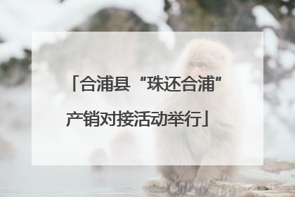合浦县“珠还合浦”产销对接活动举行