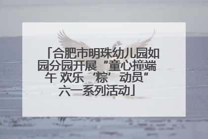 合肥市明珠幼儿园如园分园开展“童心撞端午 欢乐‘粽’动员”六一系列活动