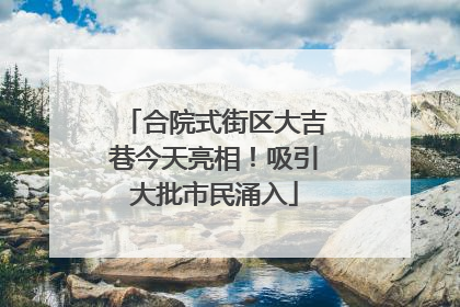 合院式街区大吉巷今天亮相！吸引大批市民涌入