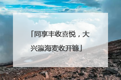 同享丰收喜悦，大兴瀛海麦收开镰