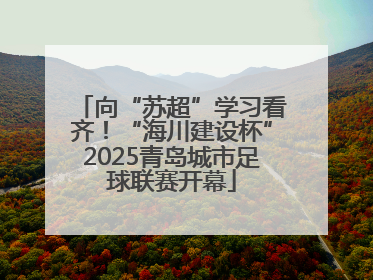 向“苏超”学习看齐！“海川建设杯”2025青岛城市足球联赛开幕