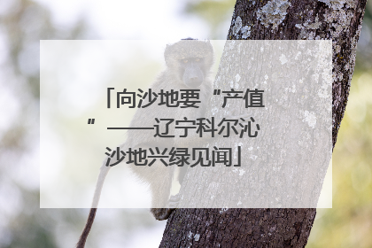 向沙地要“产值”——辽宁科尔沁沙地兴绿见闻