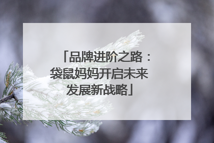 品牌进阶之路：袋鼠妈妈开启未来发展新战略