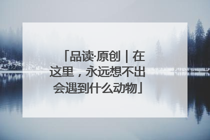 品读·原创｜在这里，永远想不出会遇到什么动物