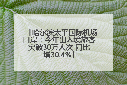 哈尔滨太平国际机场口岸：今年出入境旅客突破30万人次 同比增30.4%