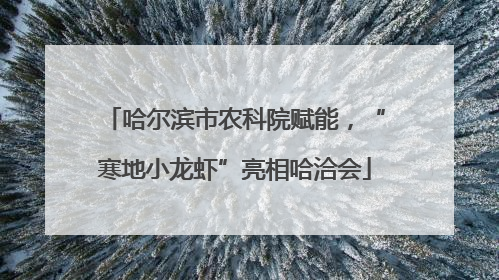 哈尔滨市农科院赋能，“寒地小龙虾”亮相哈洽会