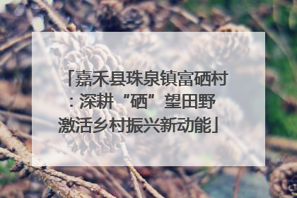 嘉禾县珠泉镇富硒村：深耕“硒”望田野 激活乡村振兴新动能