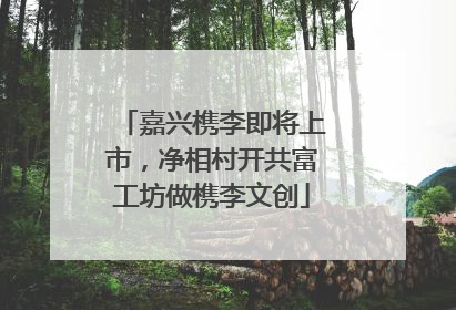 嘉兴槜李即将上市，净相村开共富工坊做槜李文创