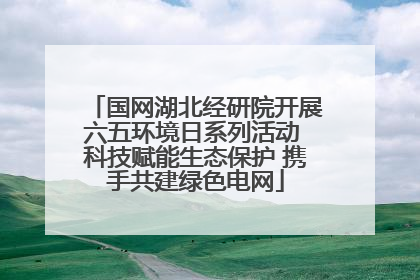 国网湖北经研院开展六五环境日系列活动 科技赋能生态保护 携手共建绿色电网