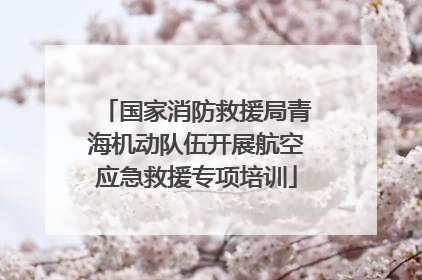 国家消防救援局青海机动队伍开展航空应急救援专项培训