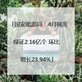 国家能源局：4月核发绿证2.16亿个 环比增长23.94%