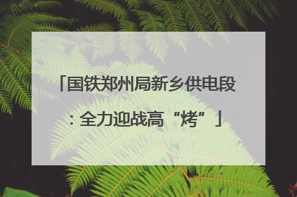 国铁郑州局新乡供电段：全力迎战高“烤”