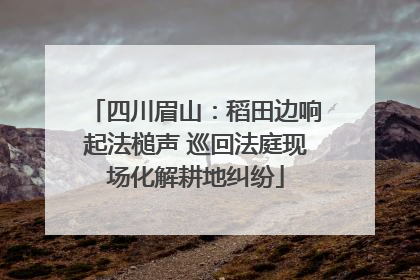 四川眉山：稻田边响起法槌声 巡回法庭现场化解耕地纠纷