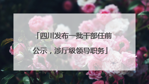 四川发布一批干部任前公示，涉厅级领导职务