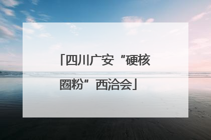四川广安“硬核圈粉”西洽会