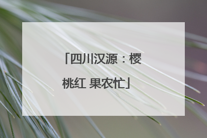 四川汉源：樱桃红 果农忙