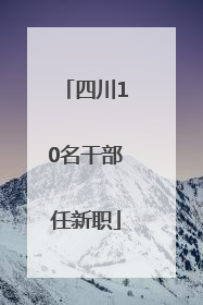 四川10名干部任新职