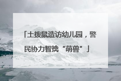 土拨鼠造访幼儿园，警民协力智擒“萌兽”
