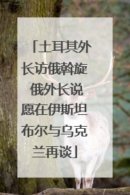 土耳其外长访俄斡旋 俄外长说愿在伊斯坦布尔与乌克兰再谈