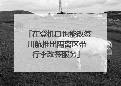 在登机口也能改签 川航推出隔离区带行李改签服务