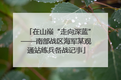 在山巅“走向深蓝”——南部战区海军某观通站练兵备战记事