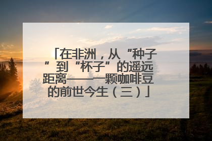 在非洲，从“种子”到“杯子”的遥远距离——一颗咖啡豆的前世今生（三）